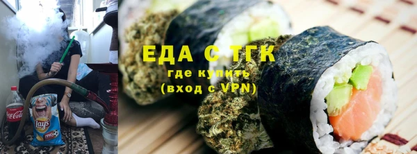 хмурый Алексин