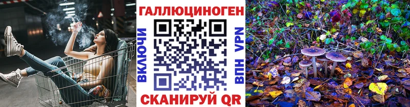Псилоцибиновые грибы Cubensis  Солнечногорск 